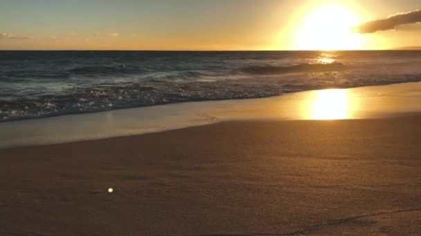 Golven Het Strand Van Hawaï Bij Zonsondergang Slow Motion — Stockvideo