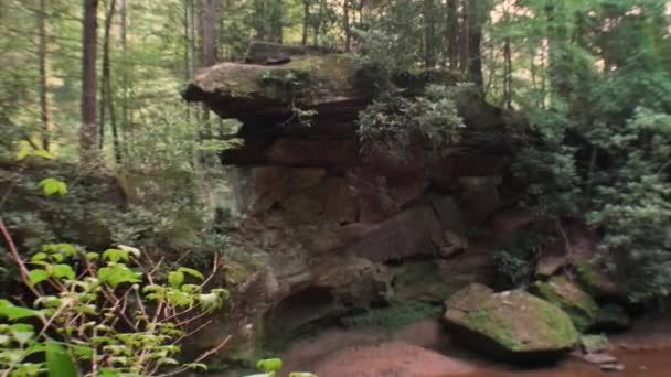 Eine Natürliche Felsbrücke Wald Der Red River Gorge — Stockvideo