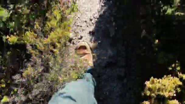 Prima Persoană Aparat Fotografiat Walkin Traseu — Videoclip de stoc