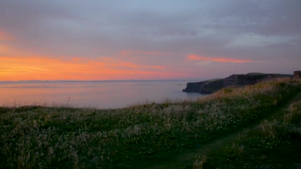 Zdjęcie Panoramiczne Wielkiej Wyspy Bluźnierców Irlandii Góra Wypełniona Zieloną Trawą — Wideo stockowe