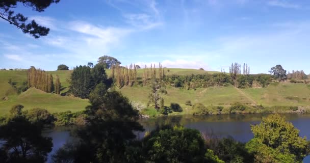 Fiume Nuova Zelanda Isola Del Nord Drone Rivela Bella Scena — Video Stock