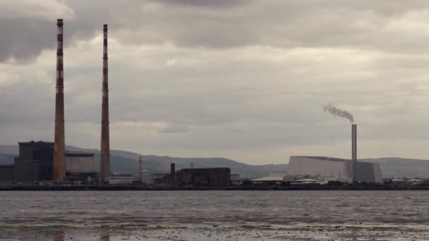 从牛墙看都柏林湾对面的普尔乞讨工业区的凄凉景象 新的废物焚化炉冒出蒸汽 而老旧的普尔乞讨烟囱却处于休眠状态 — 图库视频影像