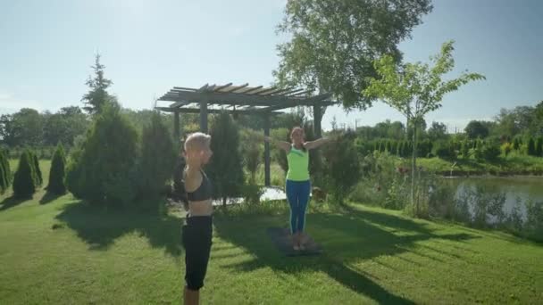 Yoga Meisjes Gras — Stockvideo