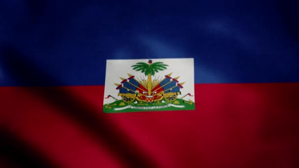 Flagge Haitis Zeitlupe Geschwenkt Looping Animation Ideal Für Sportveranstaltungen Led — Stockvideo