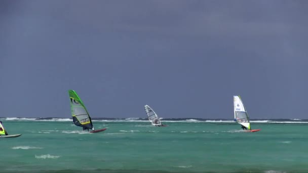 Windsurferzy Zatoce Lac Wyspie Bonaire Karaibach — Wideo stockowe