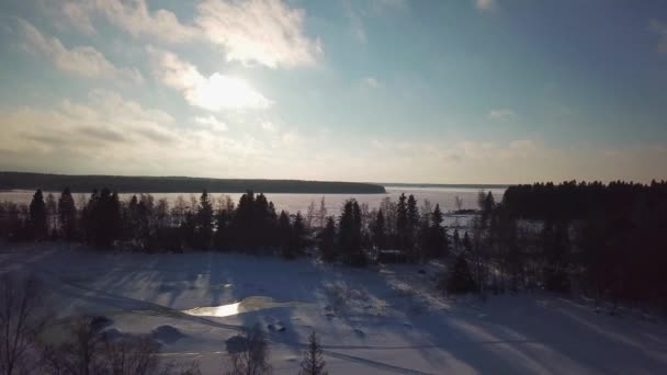 休息中の自然の空中ビュー 長い影と暗い季節を照らす美しい空を持つ北極の冬の風景 北欧のアーケペラゴ 北欧の木 — ストック動画