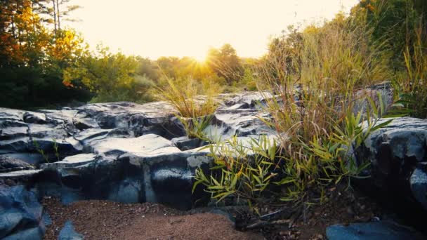 Uitzicht Gedroogde Stream Bed — Stockvideo