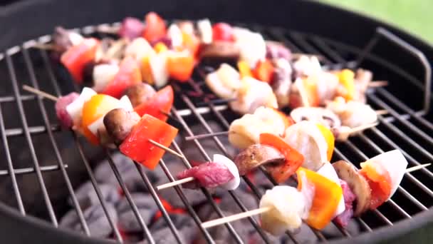 Grilling Savory Shish Kabob Vegetable Meat Mushroom Skewer Appetizers Charcoal — Stock Video