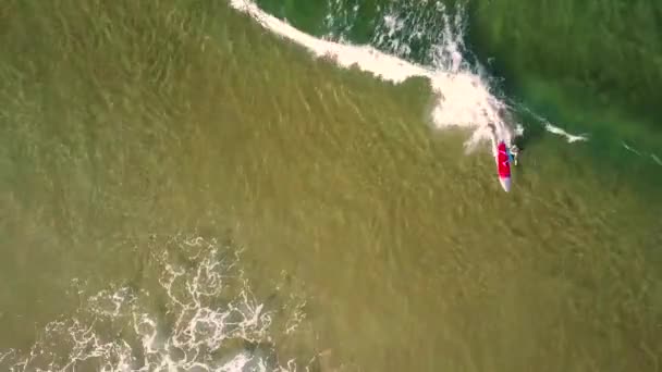 Surfer Połowów Fali Filmowane Góry Dronem — Wideo stockowe