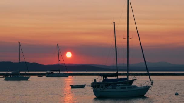 Νθρωποι Στο Ιστιοφόρο Ηλιοβασίλεμα Στη Λίμνη Τσάμπλιν Ιστιοφόρο Κινείται Μεταξύ — Αρχείο Βίντεο