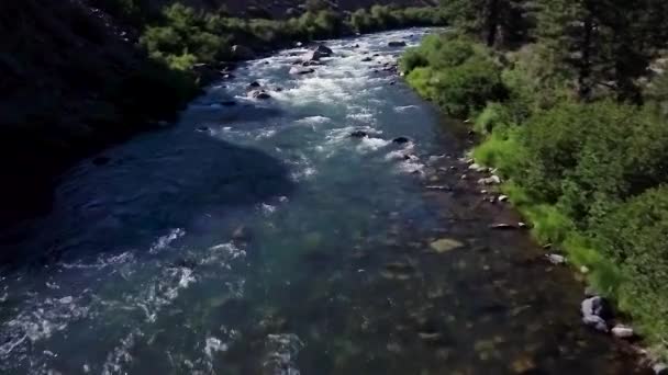 Clip Aérien Lent Une Rivière Caméra Déplace Contre Courant Restant — Video