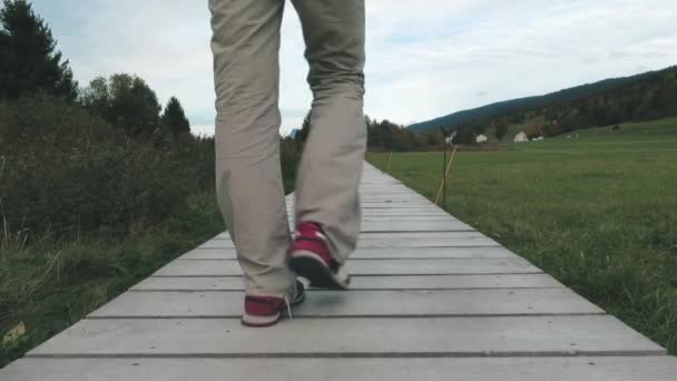 Promenade Sur Ponton Bois Bord Lac Joux Procházka Dřevěné Palubě — Stock video