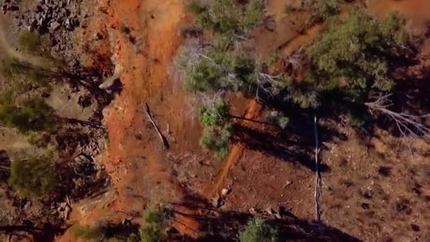 Vertical Aerial Downward View Slow Pass Bushland Quarry Cliffs — Stock Video