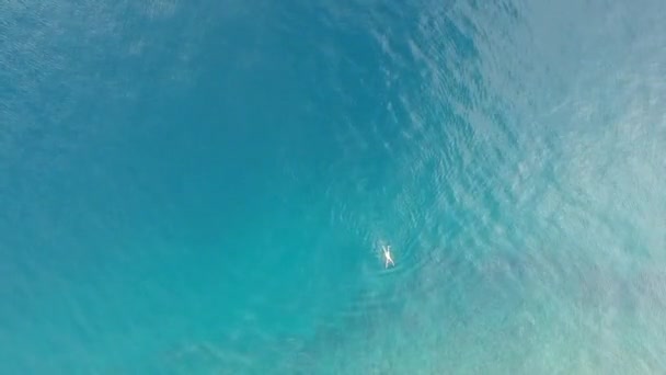 無人機がますます高くなり より多くの水を明らかにしながら クロアチアで泳ぐ男のアリエルショット — ストック動画