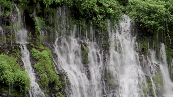 Una Vista Dalla Cima Degli Alberi Con Vista Sulle Rapide — Video Stock