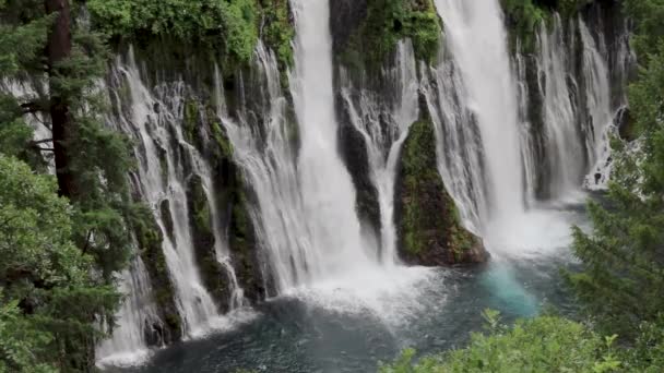 Вид Згори Дерев Краєвидом Стрімкі Пороги Водоспаду Меморіальному Парку Макартур — стокове відео