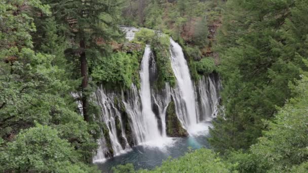 Вид Згори Дерев Краєвидом Стрімкі Пороги Водоспаду Меморіальному Парку Макартур — стокове відео