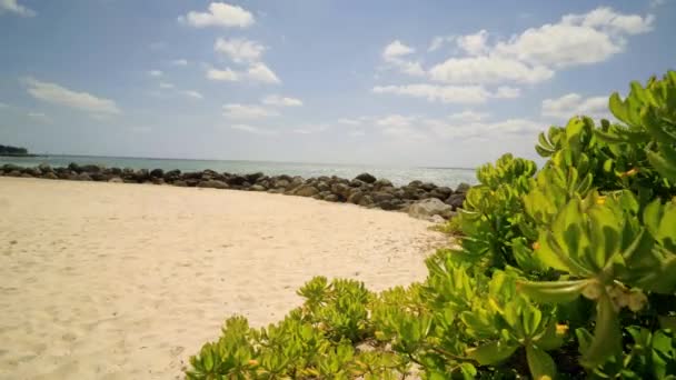 Nyugat Bahama Sziget Beach — Stock videók