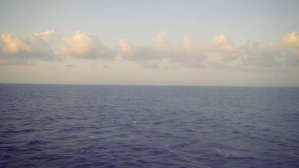 Havsvågor Till Havs Carribean — Stockvideo