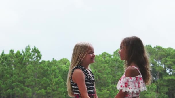 Dois Jovens Melhores Amigas Passam Tempo Juntas Livre Natureza Contando — Vídeo de Stock