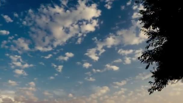 Blauwe Hemel Met Wolken Timelapse Witte Grote Wolk Blauwe Hemel — Stockvideo