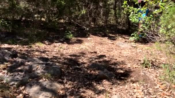 Man Running Rocky Trail Summer Spring Time Daytime — Stock Video