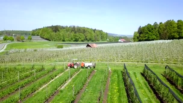 Sesja Powietrzna Kwitnących Sadów Jabłoni Nagraniu Jest Traktor Chata — Wideo stockowe