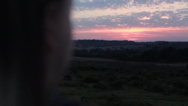 Дівчина Дивиться Над Лісовим Пейзажем Заходу Сонця Літній Вечір — стокове відео