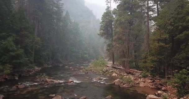 Flying Shot River Yosemite National Park — Stock Video