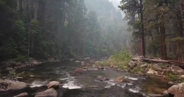 Niski Strzał Powietrza Nad Rzeką Yosemite National Park — Wideo stockowe