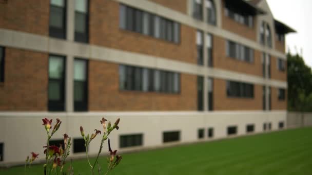 Relaxační Zřízení Shot Brick College Dorms Out Focus While Flowers — Stock video