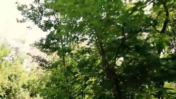 Paysage Sur Sentier Parc Toronto — Video