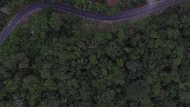 Aerial Selva Amazónica Tire Hacia Arriba — Vídeos de Stock