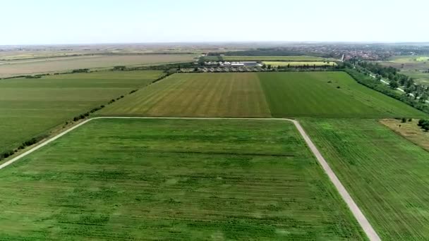 Campo Verde Con Carretera — Vídeos de Stock