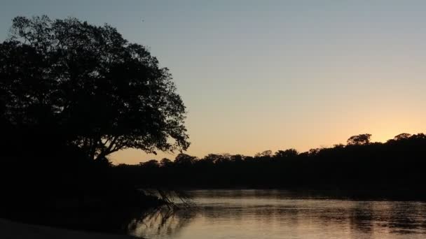 Puesta Sol Selva Amazónica Perú — Vídeos de Stock