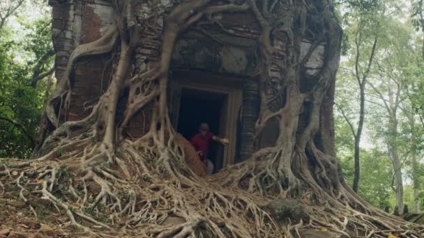 Fotograf Bada Korzeń Pokryty Starożytną Świątynią Khmer Prasat Bram Kambodży — Wideo stockowe