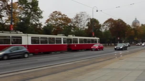 Viyana Sokakları Avusturya — Stok video