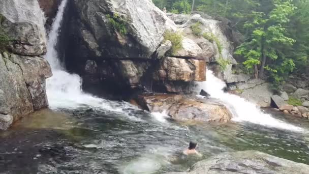 Springen Wasser Bei Den Glen Ellis Falls — Stockvideo