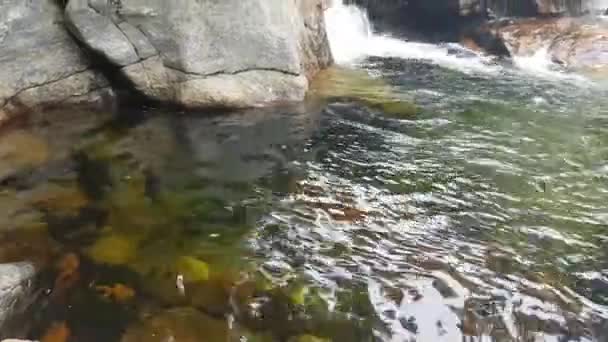 Водопад Водопада Глен Эллис — стоковое видео