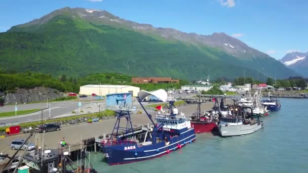 Handlowa Flota Łososia Porcie Valdez Dock Gdy Statki Krabowe Króla — Wideo stockowe