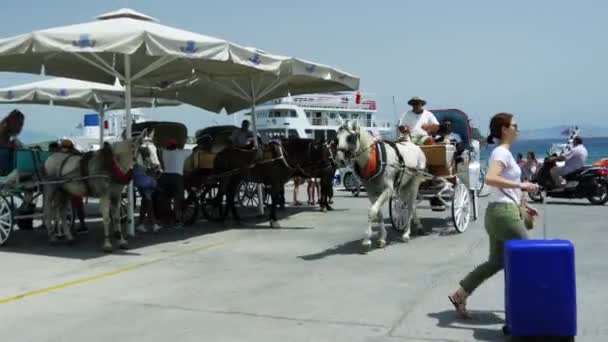 마차는 그리스의 마을인스 아르고 사로니 있습니다 관광객의 지방의 교통수단 — 비디오