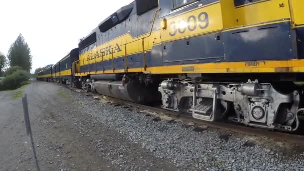 Vista Trem Ferroviário Alasca — Vídeo de Stock