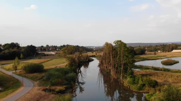 Drone Disparo Bonito Parque Mientras Algunos Pájaros Repente Pasan Marco — Vídeo de stock