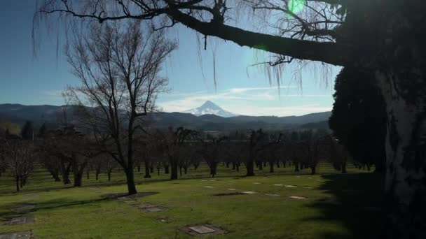 Mount Hood State Nebo Oregon — Stock video