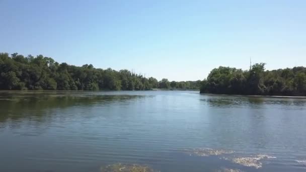 无人机在树上和湖面上空盘旋 — 图库视频影像