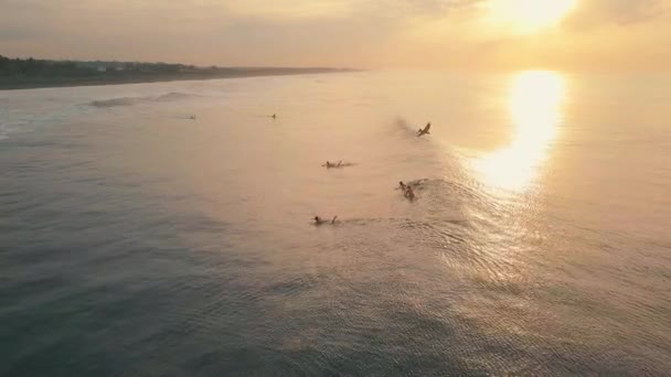 Pelicano Sobrevoando Surfistas Oceano Dourado Pôr Sol Rosa — Vídeo de Stock