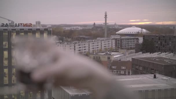 Stadsgezicht Van Eindhoven Met Het Ufo Gebouw Evoluon Huis Van — Stockvideo