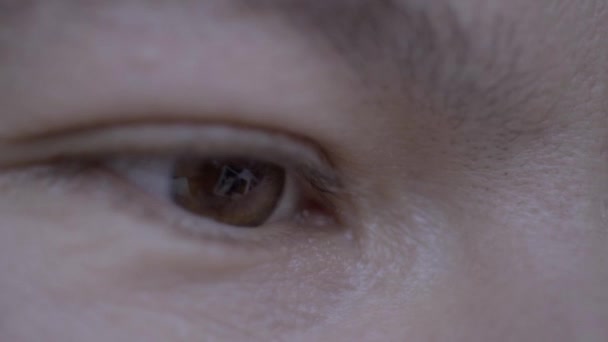 Attraktiv Kille Läser Och Studerar Makro Extrem Närbild Bruna Ögonen — Stockvideo
