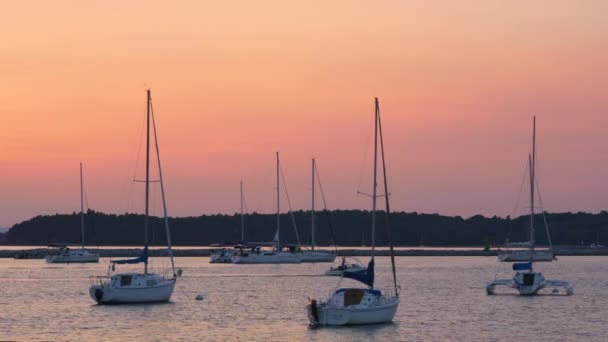 Solnedgång Vid Lake Champlain Vermont Flyttar Motorbåt Mellan Segelbåtar Och — Stockvideo