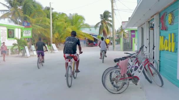 Vélos Cheval Sur Île Des Caraïbes — Video